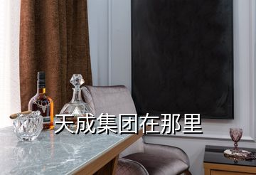 天成集團在那里