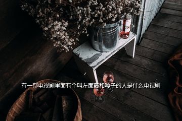有一部電視劇里面有個叫左面藤和嘎子的人是什么電視劇
