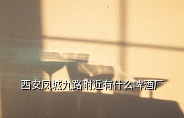 西安鳳城九路附近有什么啤酒廠(chǎng)