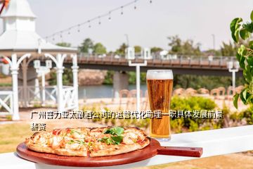 廣州喜力亞太釀酒公司的運營優化助理一職具體發展前景薪資