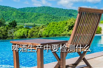 啤酒生產中要檢測什么