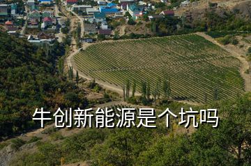 牛創新能源是個坑嗎