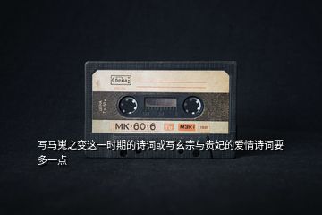 寫馬嵬之變這一時期的詩詞或寫玄宗與貴妃的愛情詩詞要多一點