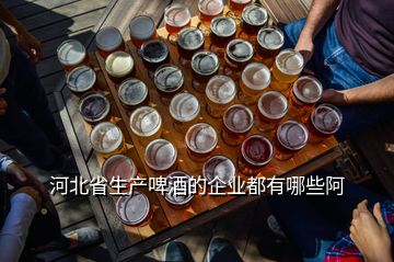 河北省生產啤酒的企業都有哪些阿