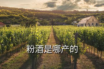 粉酒是哪產的
