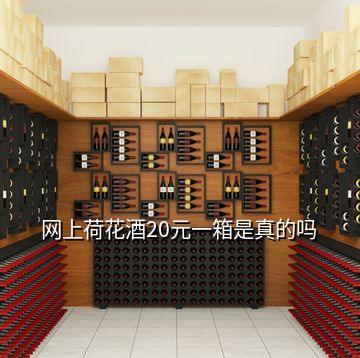 網上荷花酒20元一箱是真的嗎