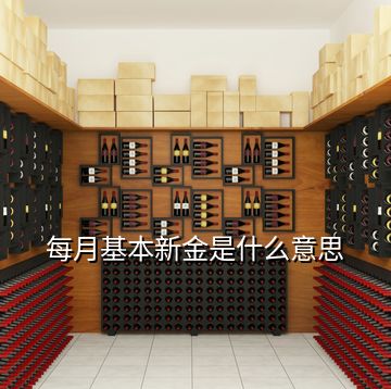 每月基本新金是什么意思