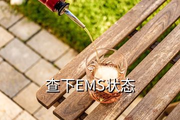 查下EMS狀態