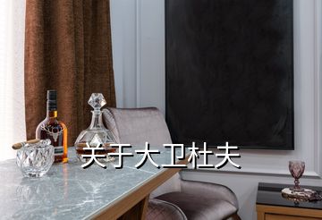關于大衛杜夫