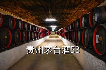 貴州茅臺酒53