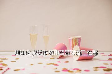 想知道 襄樊市 棗陽(yáng)藍(lán)帶啤酒廠 在哪