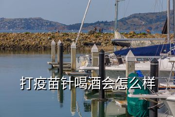 打疫苗針喝酒會怎么樣