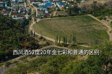 西鳳酒52度20年金七彩和普通的區別