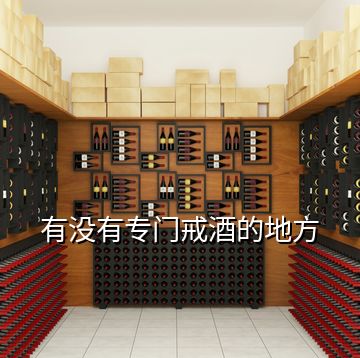 有沒(méi)有專門戒酒的地方