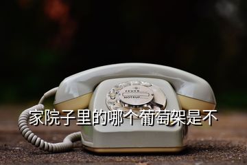 家院子里的哪個葡萄架是不