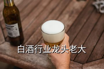 白酒行業龍頭老大