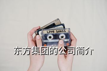 東方集團的公司簡介