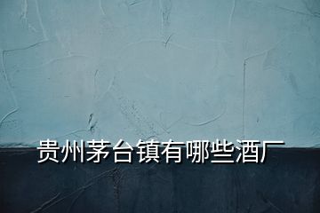 貴州茅臺鎮有哪些酒廠