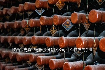 陜西寶光真空電器股份有限公司 什么性質的企業