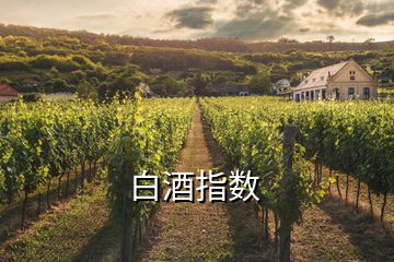 白酒指數