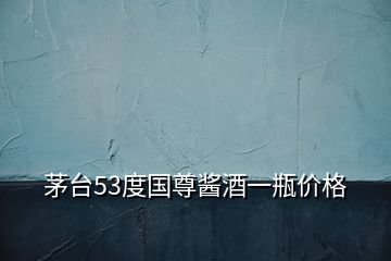 茅臺53度國尊醬酒一瓶價(jià)格