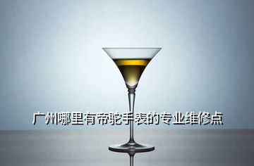 廣州哪里有帝駝手表的專業維修點