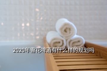 2020年雪花啤酒有什么樣的規劃嗎