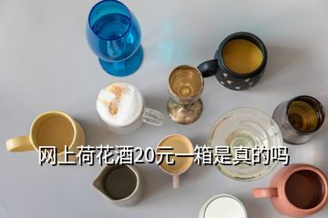 網上荷花酒20元一箱是真的嗎