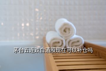 茅臺(tái)五連跌白酒股現(xiàn)在可以補(bǔ)倉嗎