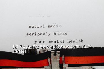 貴州茅臺 瀘州老窖 青青稞酒 比較這三家公司在經營戰略上有何不同