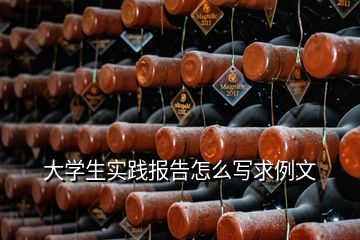 大學(xué)生實踐報告怎么寫求例文