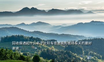回收煙酒起什么名字比較有意思能和官場有關的最好謝謝