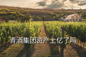 青酒集團資產上億了嗎