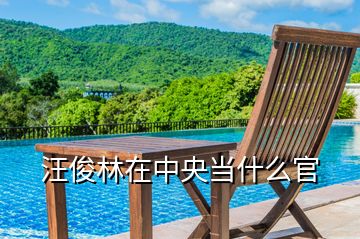汪俊林在中央當什么官