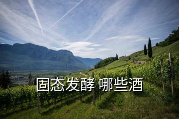 固態發酵 哪些酒