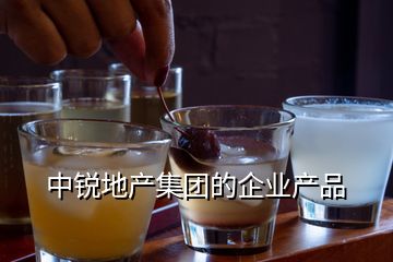 中銳地產集團的企業產品