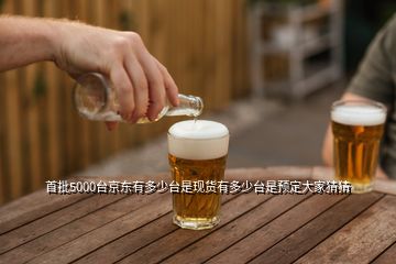 首批5000臺京東有多少臺是現貨有多少臺是預定大家猜猜