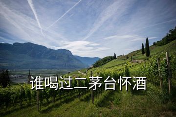 誰喝過二茅臺(tái)懷酒