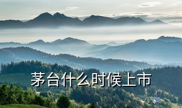 茅臺什么時候上市