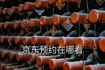 京東預約在哪看