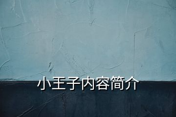 小王子內容簡介