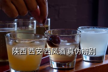 陜西 西安 西鳳酒 真偽辨別