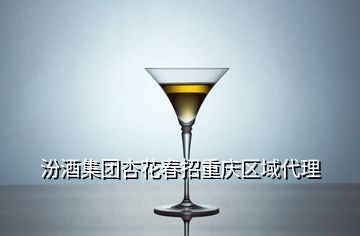 汾酒集團杏花春招重慶區域代理