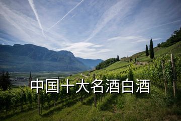中國(guó)十大名酒白酒
