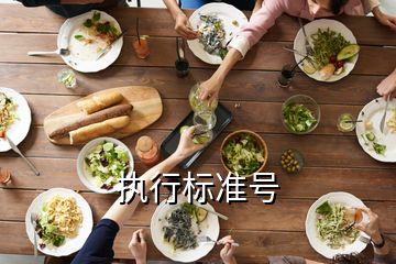 執行標準號