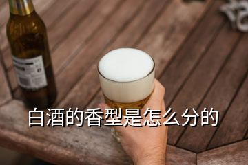 白酒的香型是怎么分的