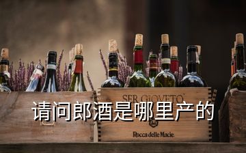 請問郎酒是哪里產的