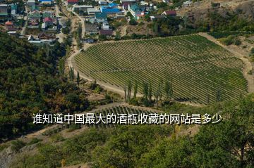 誰知道中國(guó)最大的酒瓶收藏的網(wǎng)站是多少