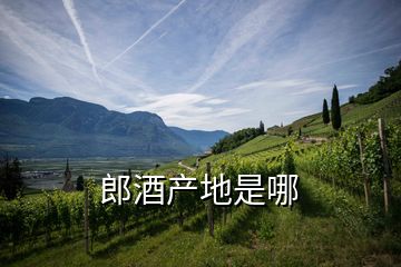 郎酒產地是哪