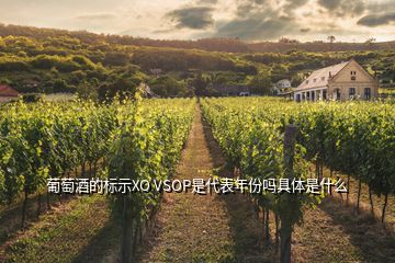 葡萄酒的標示XO VSOP是代表年份嗎具體是什么